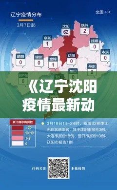 《辽宁沈阳疫情最新动态：实时追踪与防控措施》