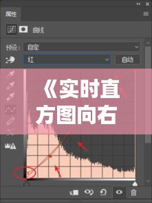 《实时直方图向右曝光：揭秘图像处理中的技术革新》