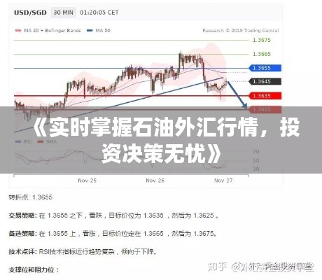 《实时掌握石油外汇行情，投资决策无忧》