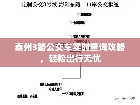 泰州3路公交车实时查询攻略，轻松出行无忧