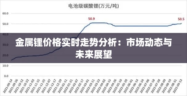 金属锂价格实时走势分析：市场动态与未来展望