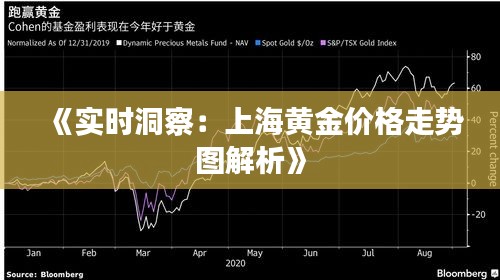 《实时洞察：上海黄金价格走势图解析》