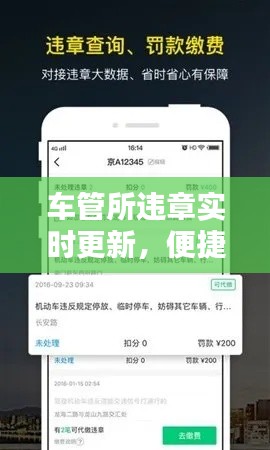 车管所违章实时更新，便捷查询让您出行无忧