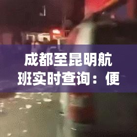 成都至昆明航班实时查询：便捷出行，轻松掌握航班动态