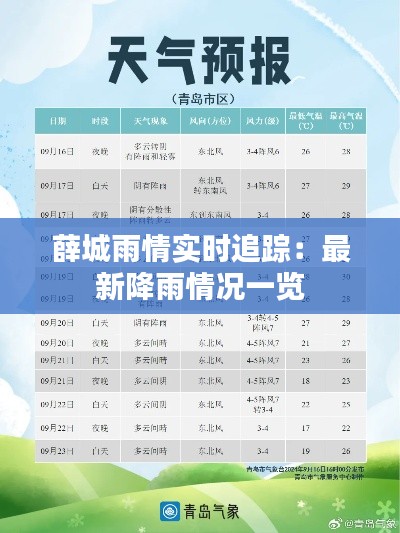 薛城雨情实时追踪：最新降雨情况一览