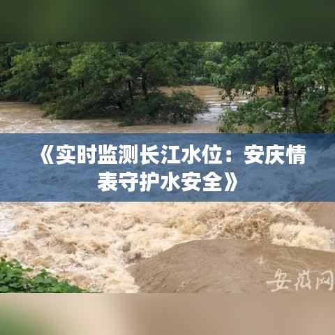 《实时监测长江水位：安庆情表守护水安全》