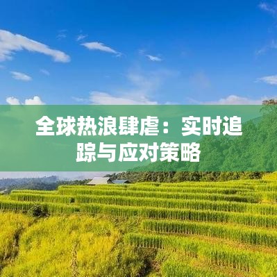 全球热浪肆虐：实时追踪与应对策略