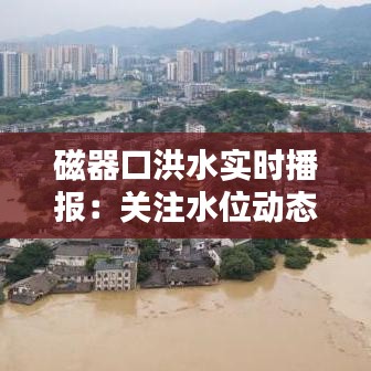 磁器口洪水实时播报：关注水位动态，保障人民安全