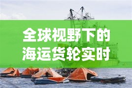 全球视野下的海运货轮实时位置地图：智慧物流的革新之翼