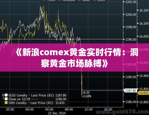 《新浪comex黄金实时行情：洞察黄金市场脉搏》