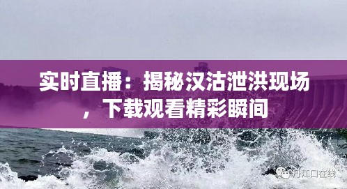 实时直播：揭秘汉沽泄洪现场，下载观看精彩瞬间