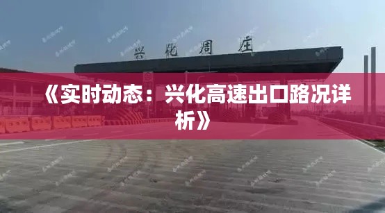 《实时动态：兴化高速出口路况详析》