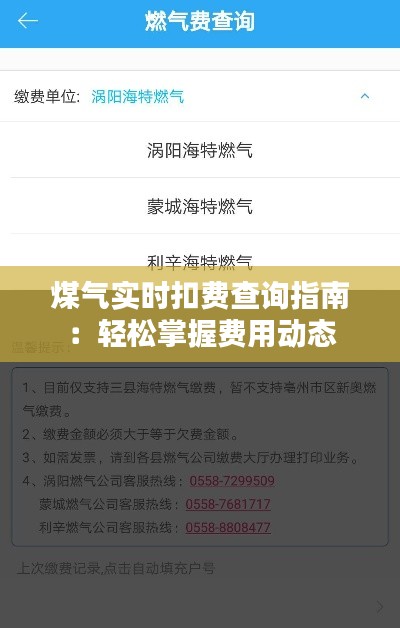 煤气实时扣费查询指南：轻松掌握费用动态