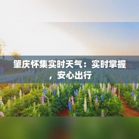 肇庆怀集实时天气：实时掌握，安心出行