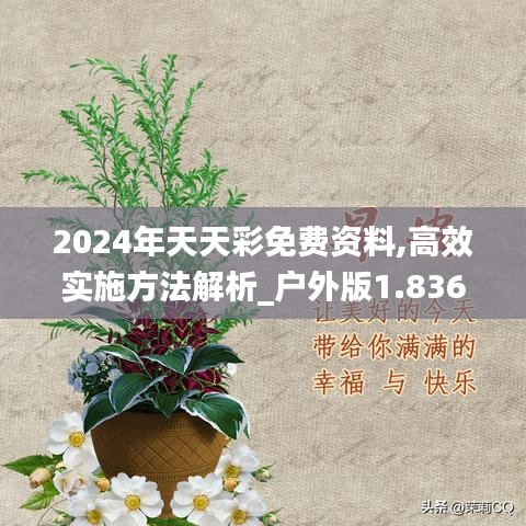 2024年天天彩免费资料,高效实施方法解析_户外版1.836