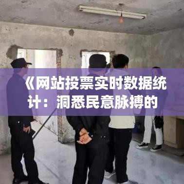 《网站投票实时数据统计：洞悉民意脉搏的数字化窗口》