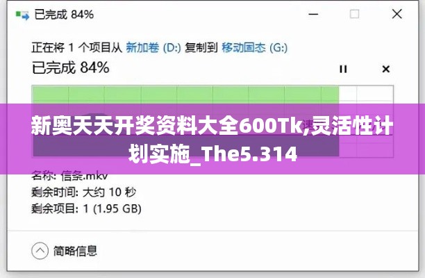 新奥天天开奖资料大全600Tk,灵活性计划实施_The5.314