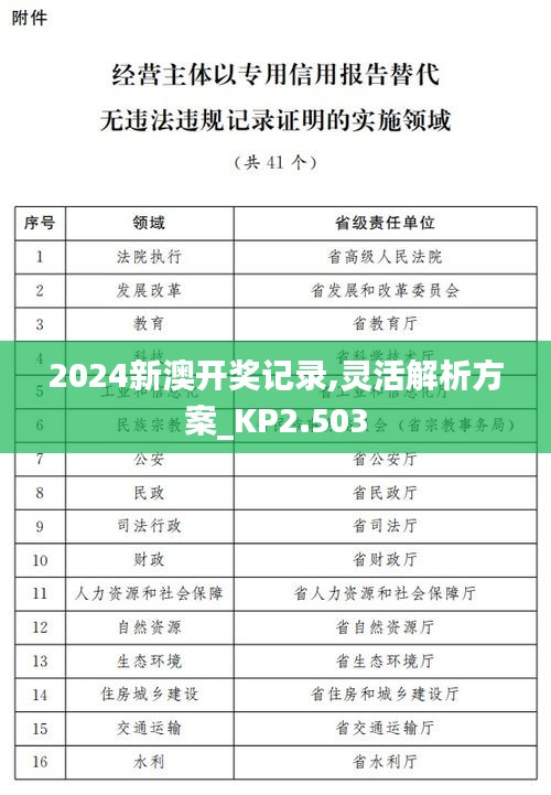 2024新澳开奖记录,灵活解析方案_KP2.503