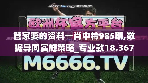 管家婆的资料一肖中特985期,数据导向实施策略_专业款18.367