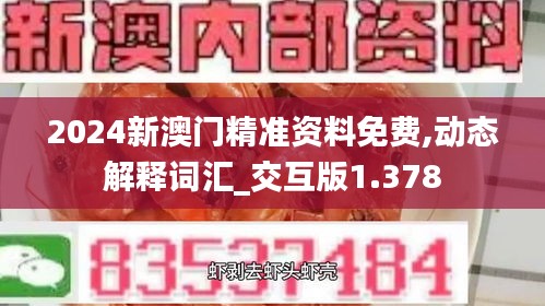 2024新澳门精准资料免费,动态解释词汇_交互版1.378