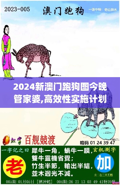 2024新澳门跑狗图今晚管家婆,高效性实施计划解析_静态版11.844