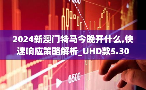 2024新澳门特马今晚开什么,快速响应策略解析_UHD款5.301