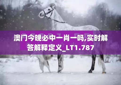 澳门今晚必中一肖一吗,实时解答解释定义_LT1.787