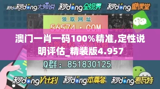 澳门一肖一码100%精准,定性说明评估_精装版4.957