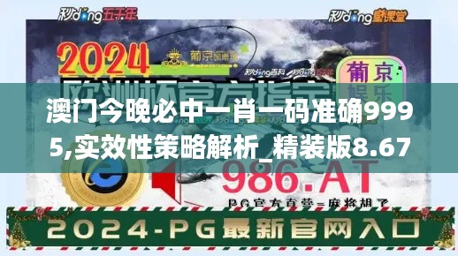 澳门今晚必中一肖一码准确9995,实效性策略解析_精装版8.674