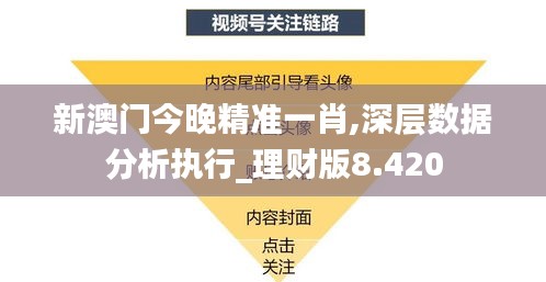 新澳门今晚精准一肖,深层数据分析执行_理财版8.420