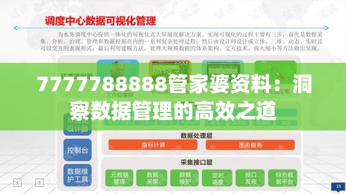 7777788888管家婆资料：洞察数据管理的高效之道