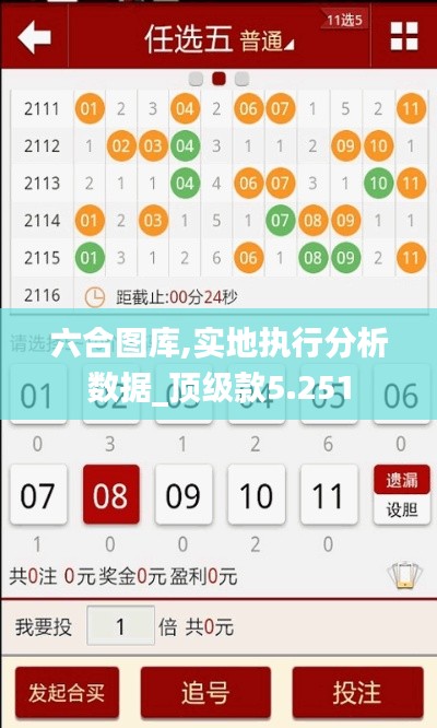 六合图库,实地执行分析数据_顶级款5.251