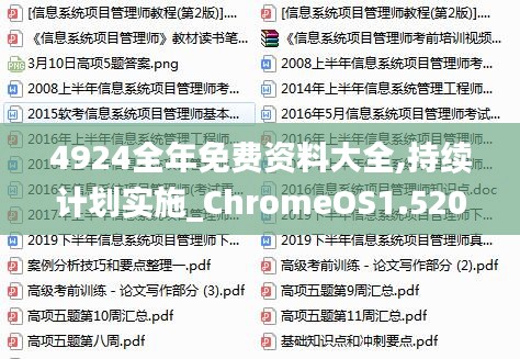 4924全年免费资料大全,持续计划实施_ChromeOS1.520