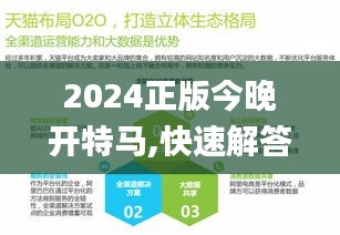 2024正版今晚开特马,快速解答执行方案_Advance10.235