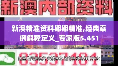 新澳精准资料期期精准,经典案例解释定义_专家版5.451