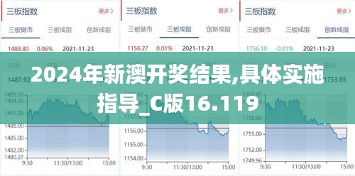 2024年新澳开奖结果,具体实施指导_C版16.119