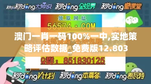 澳门一肖一码100%一中,实地策略评估数据_免费版12.803