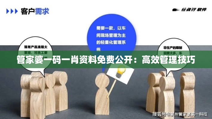 管家婆一码一肖资料免费公开：高效管理技巧