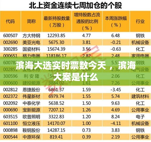 滨海大选实时票数今天 ，滨海大案是什么