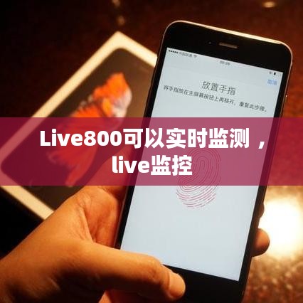 Live800可以实时监测 ，live监控