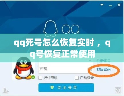 qq死号怎么恢复实时 ，qq号恢复正常使用