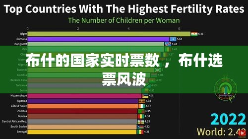 林下风范 第2页