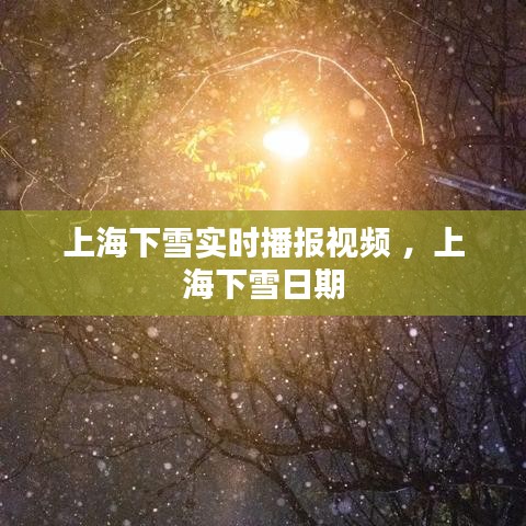 上海下雪实时播报视频 ，上海下雪日期