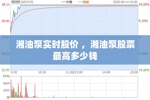 湘油泵实时股价 ，湘油泵股票最高多少钱