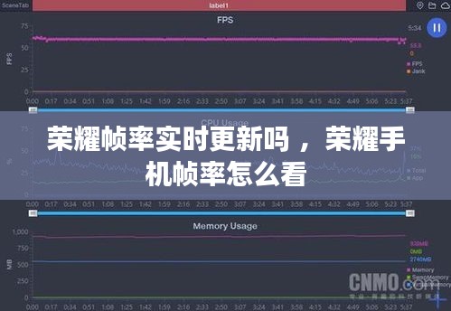 荣耀帧率实时更新吗 ，荣耀手机帧率怎么看