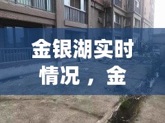 金银湖实时情况 ，金银湖最新房价