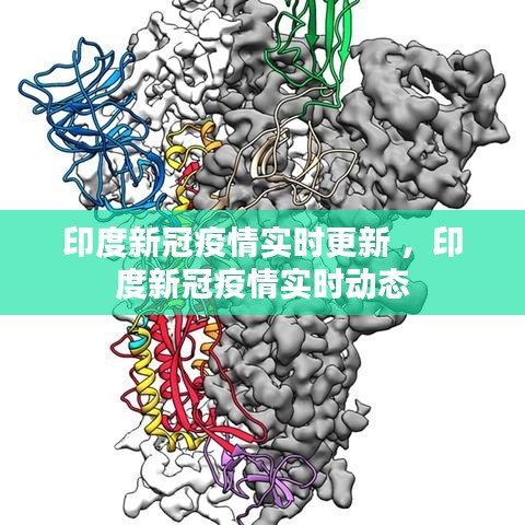 印度新冠疫情实时更新 ，印度新冠疫情实时动态