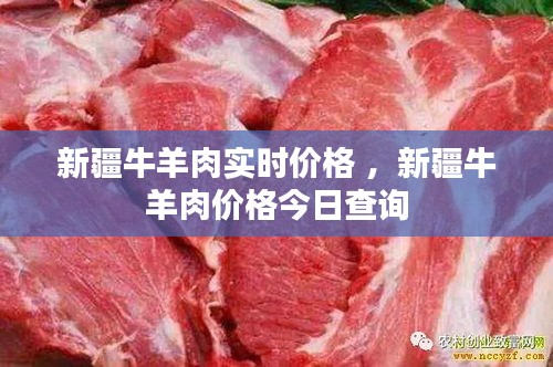 新疆牛羊肉实时价格 ，新疆牛羊肉价格今日查询