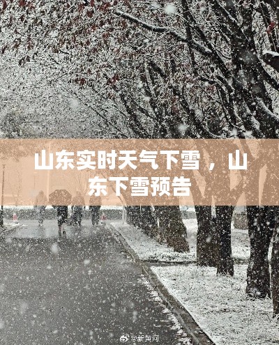 山东实时天气下雪 ，山东下雪预告