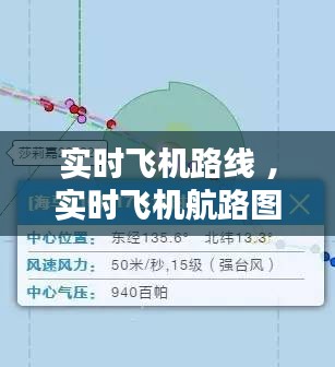 实时飞机路线 ，实时飞机航路图